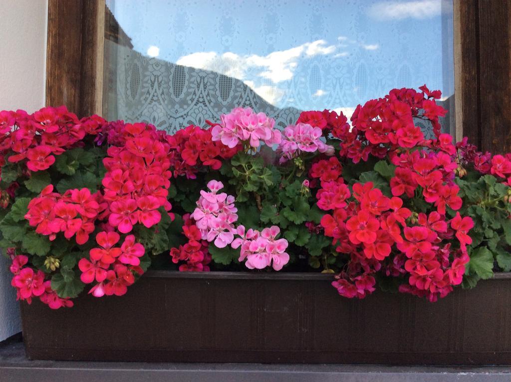 Haus Eder Burgi Hotel Nikolsdorf Екстериор снимка